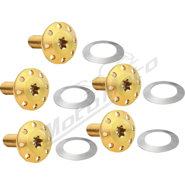 ARLEN NESS Holeshot Front Floating Brake Rotor Bolt Kit 5pcs. Harley Davidson FLHR / FLHRXS / FLHTK / FLHXS 1200-1923cc 14-24