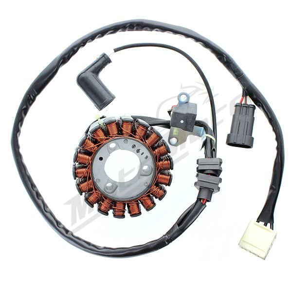 ELECTROSPORT Generatorius Aprilia / Piaggio / Vespa 125-300 09-16