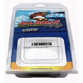 ALL BALLS Carburetor Repair Kit  Yamaha YZ125 2002