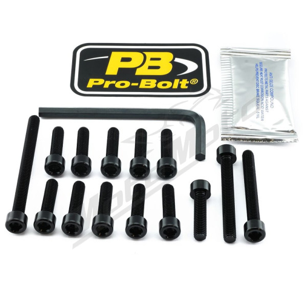 PRO BOLT Aluminium Engine Bolt Kit Kawasaki ZZR 1400 12-20