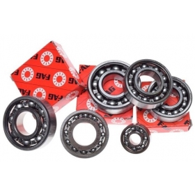 Bearing (open type) set FAG 6204 / 6004 / 6203 / 16004 / 6000