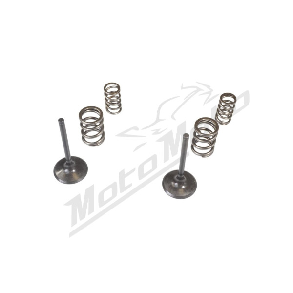 WISECO Intake valves + springs Kawasaki KX 450 F 06-08