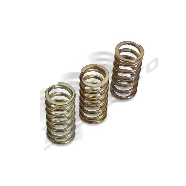 BARNETT Clutch Spring Kit DUCATI HYPERMOTARD / MONSTER / MULTISTRADA / PANIGALE / STREETFIGHTER / SUPERSPORT 939-1100cc 2016-2024