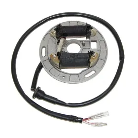 ELECTROSPORT Stator Suzuki LT 80 Quadsport 87-06