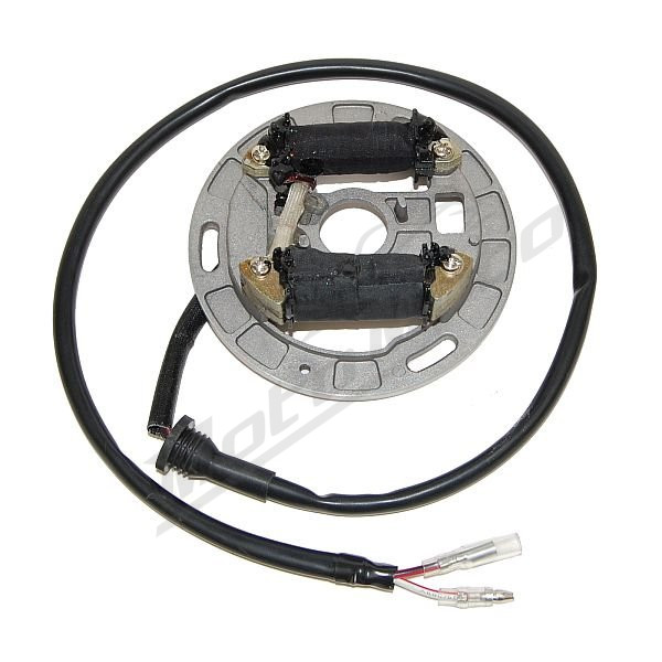 ELECTROSPORT Stator Suzuki LT 80 Quadsport 87-06