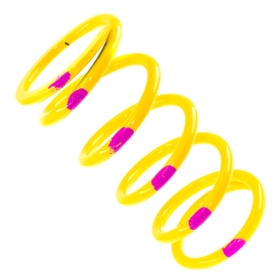 Team Spring Primary Ski Doo 200-380 Yellow / Pink
