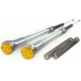 OHLINS T22DR1C1 FCX 2203 Fork Cartridges Kawasaki / Stark Varg / Suzuki / Triumph / Yamaha 250-450cc 14->