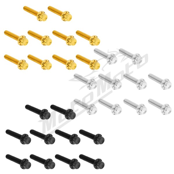 ARLEN NESS Cam Cover/Point Cover Titanium 12-Point Bolt Kit 12pcs. M8