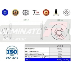 Exhaust silencer Dominator GP1 BMW F800ST 2006-2012