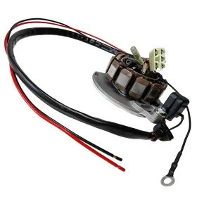 Electrex kintamosios srovės generatoriaus apvijos Husaberg / KTM 125-300cc 05-16