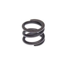Timing spring SHINERAY ATV250 STXE