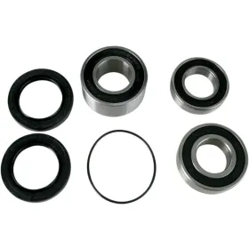 PIVOT WORKS Wheel Bearing and Seal Kit Honda CBR 929 RR 00-03