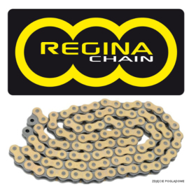 REGINA 520GPXV Chain 120 links