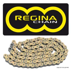 REGINA 520GPXV Chain 120 links