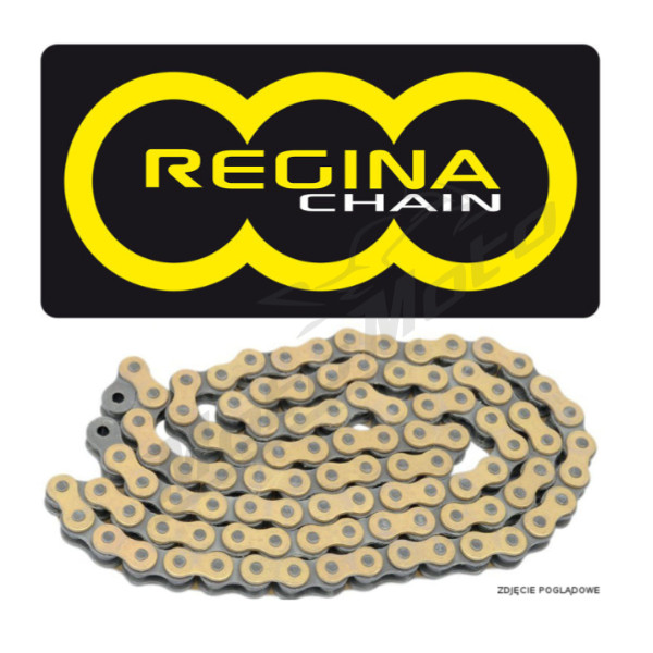 REGINA 520GPXV Chain 120 links