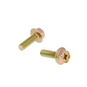 101 OCTANE Exhaust Screws 2vnt M6x16