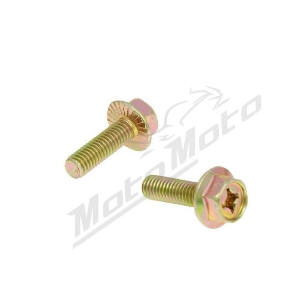 101 OCTANE Exhaust Screws 2vnt M6x16
