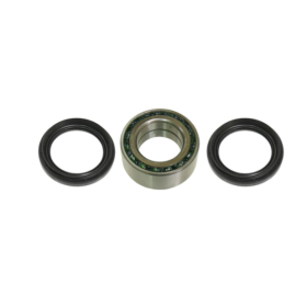 BRONCO Rear wheel bearings with seals Honda Rincon / Rubicon 650-700 03-24