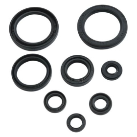 Winderosa (vertex) set of engine seals Honda CRF 450 L / X 2019