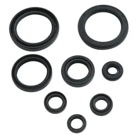Winderosa (vertex) set of engine seals Honda CRF 450 L / X 2019