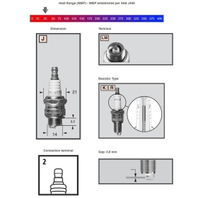 Champion RJ19LM Sparkplug