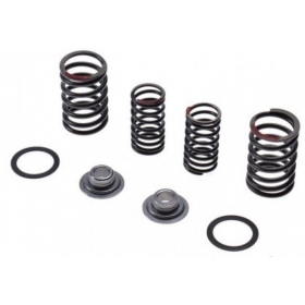 Valve spring, rubber, rentainer kit universal