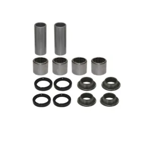 BRONCO Swingarm repair kit Kawasaki KFX 450R 08-11