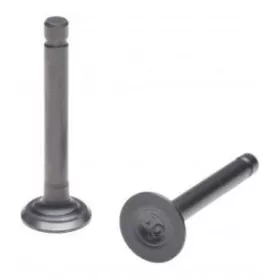 Intake and exhaust valve mini moto