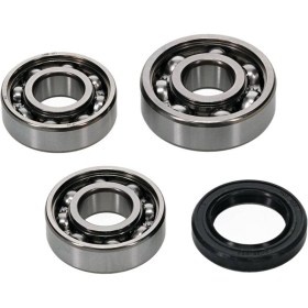 HOT RODS Balance shaft bearings Polaris RZR 170 09-20