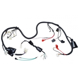Wiring harness CHINESE SCOOTER/ LONGJIA/ LJ125T-8M 125cc