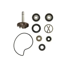 RMS Vandens pompos remonto kompl. Derbi Atlantis / Piaggio Beverly 50-250 98-05