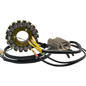 RICK'S MOTORSPORT ELECTRIC Lithium-Ion Charging Kit Kawasaki KZ 650cc 79-80