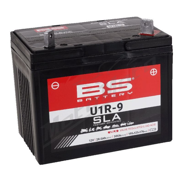 BS BATTERY SLA Factory-Activated AGM Maintenance-Free Batteries