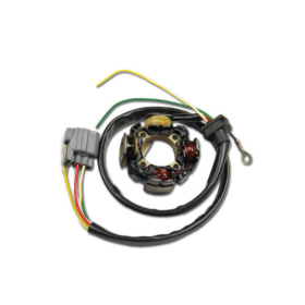 Electrex Generatorius KAWASAKI KXF 450 06-08