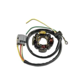 Electrex Generatorius KAWASAKI KXF 450 06-08