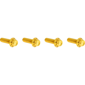 ARLEN NESS Transmission Top Cover Bolt Kit Gold Harley Davidson FLTRX / FLFB / FLHX / FLHXU 1868-1983 24-26