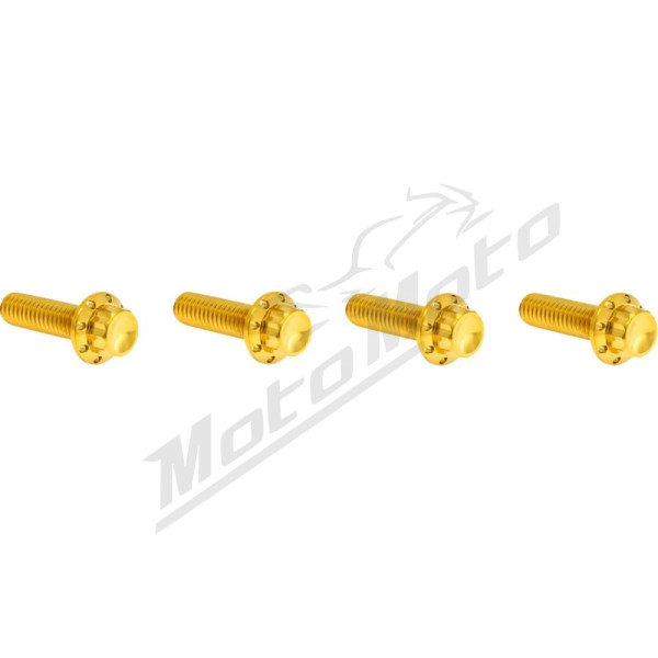 ARLEN NESS Transmission Top Cover Bolt Kit Gold Harley Davidson FLTRX / FLFB / FLHX / FLHXU 1868-1983 24-26