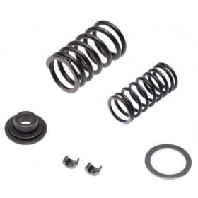 Valve spring, rubber, rentainer kit SHINERAY ATV250 ST-9E / STXE
