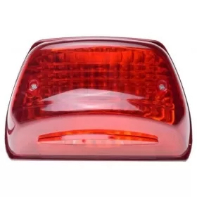 TAIL LIGHT FOR BENZER YANKEE