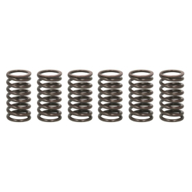 TRW Clutch springs set Ducati Monster / Multistrada / Sportclassic / ST 748-1000 97-10