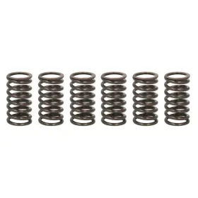 TRW Clutch springs set Ducati Monster / Multistrada / Sportclassic / ST 748-1000 97-10