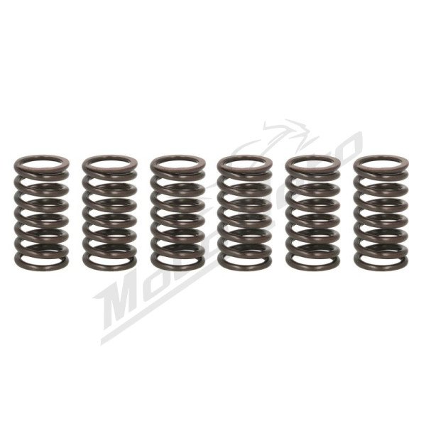 TRW Clutch springs set Ducati Monster / Multistrada / Sportclassic / ST 748-1000 97-10