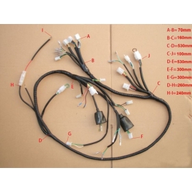 Wiring harness CHINESE SCOOTER/ JONWAY