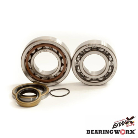 BEARING WORX Alkūninio veleno guolių ir riebokšlių kompl. Gas Gas / Husaberg / Husqvarna / KTM 03-25 250-300