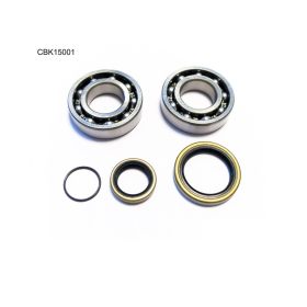 BEARING WOX Crankshaft bearings Beta RR / RX / Xtrainer 250-300 13-24