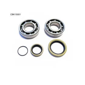 BEARING WOX Crankshaft bearings Beta RR / RX / Xtrainer 250-300 13-24