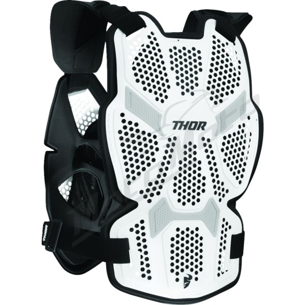 THOR Sentinel Pro Guard