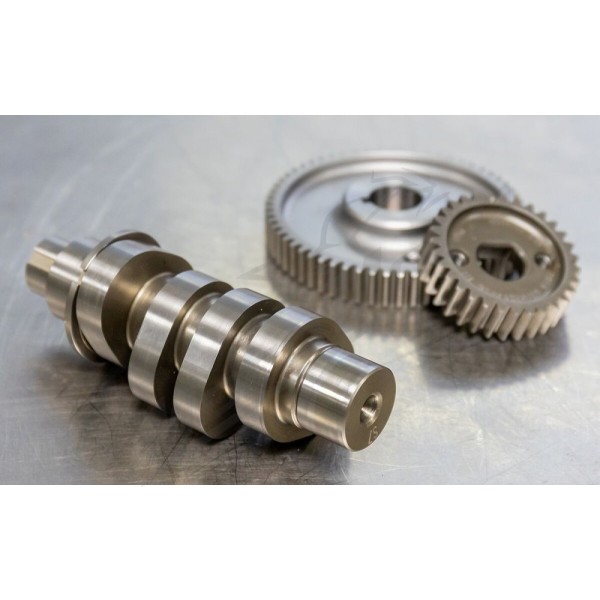 S&S CYCLE 590G Gear Drive Camshaft Kit Harley Davidson FLDE / FLFB / FLFBS 1750-1977cc 17-23
