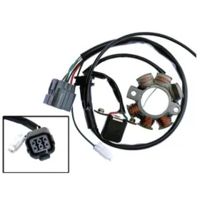 ELECTREX Stator Kawasaki / Suzuki 250cc 04-10