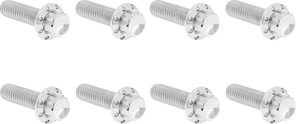 Arlen Ness Set Of Bolts For The Transmission Side Cover Silver Harley Davidson FLDE / FLFB 1584-1977cc 07-25